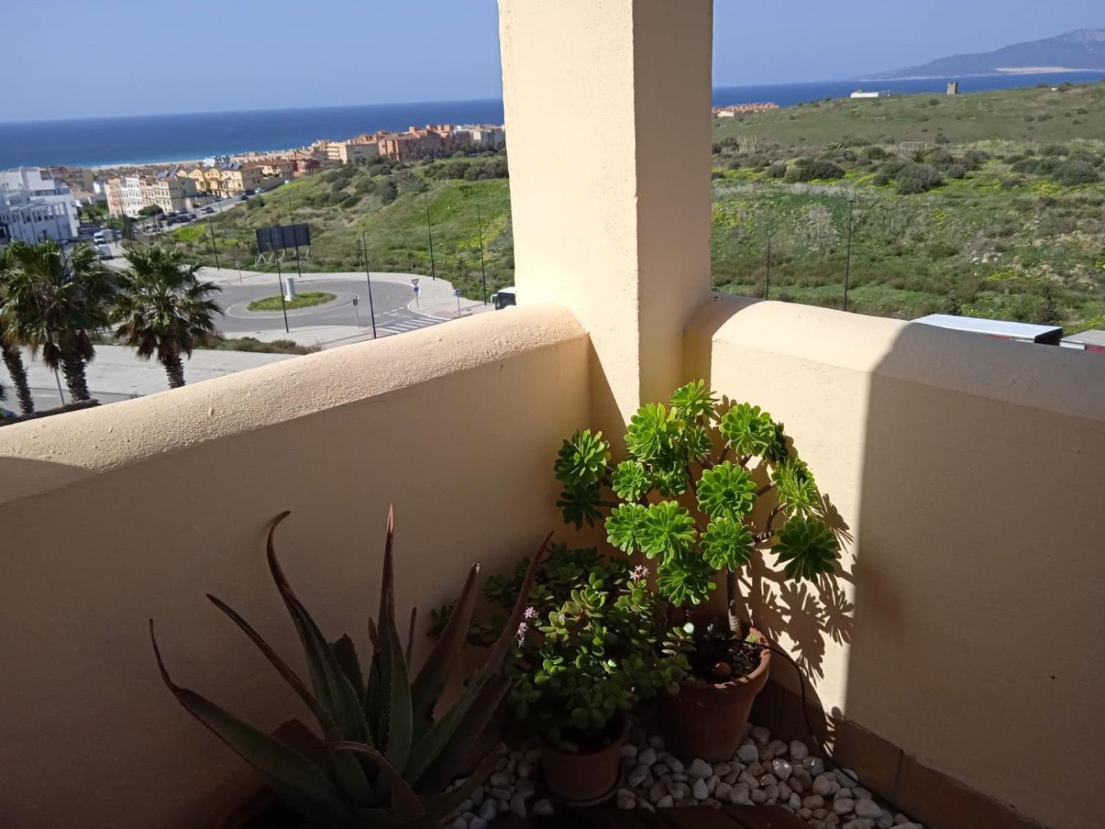 Livingtarifa Apartamento Nano Eksteriør bilde